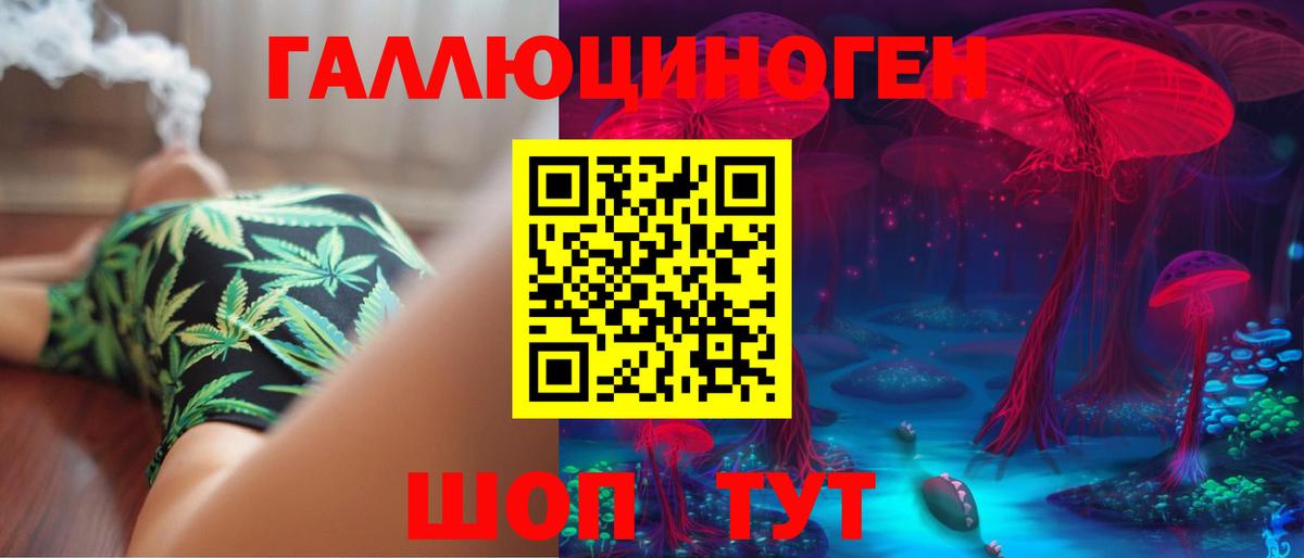 Галлюциногенные грибы GOLDEN TEACHER  Вход с VPN  Галлюциногенные грибы прущие грибы  Выборг 